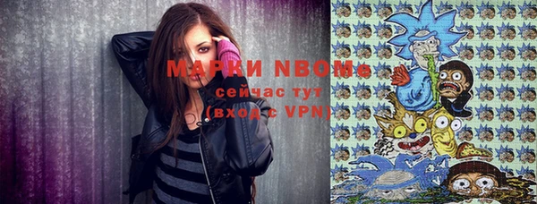 прущий лед Нея