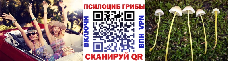 blacksprut как зайти  Углегорск  Галлюциногенные грибы Magic Shrooms  продажа наркотиков 