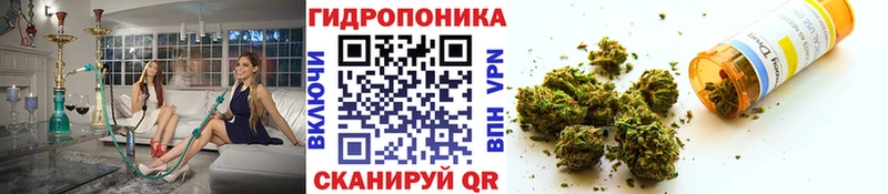 сколько стоит  Углегорск  гидра   МАРИХУАНА планчик 